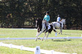 Kaitlyn Schmidt on Dandy, Advanced Green Horse Trials A