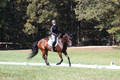 Brooke Bayley on Unbroken, Beginner Novice Horse Trials Senior A