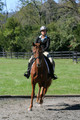 Jenny Rosner on Curious, Advanced Green HT Senior