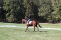 Katie LaValle on High Speed Internet, Beginner Novice Horse Trials Senior A