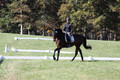 Brooke Bayley on Unbroken, Beginner Novice Horse Trials Senior A