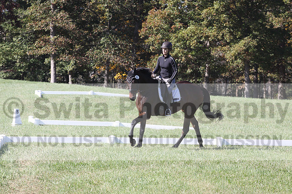 Brooke Bayley on Unbroken, Beginner Novice Horse Trials Senior A
