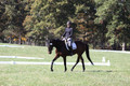 Brooke Bayley on Unbroken, Beginner Novice Horse Trials Senior A
