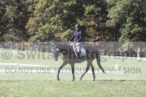 Brooke Bayley on Unbroken, Beginner Novice Horse Trials Senior A