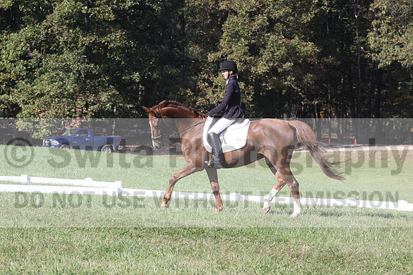 Maggie Proffitt on Wallstreet Melody, Novice Horse Trials Junior