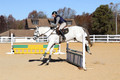 Jennifer Cobb on Snowbird, Beginner Novice Horse Trials Senior A