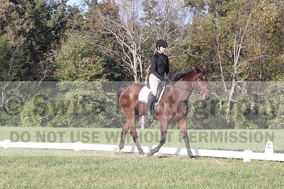 Kelly Linn on Hanover, Green Horse Trials