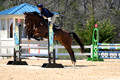_DSC0918