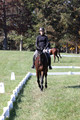 Brooke Bayley on Unbroken, Beginner Novice Horse Trials Senior A