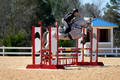 _DSC0443