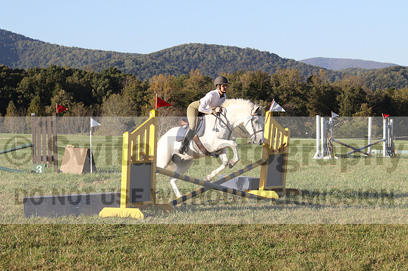 Jeanne Jeffer on Snowball's Chance, Green Horse Trials