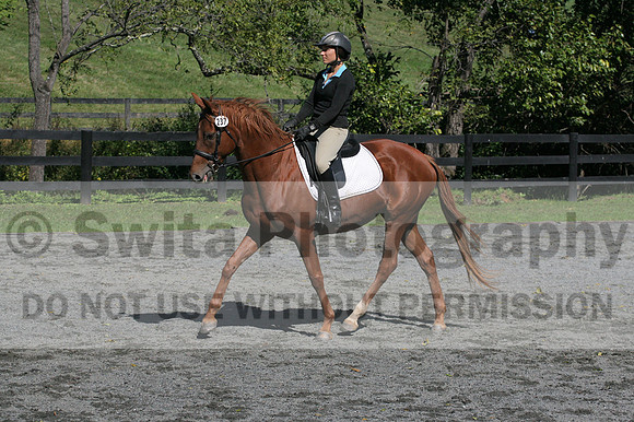 Jenny Rosner on Curious, Advanced Green HT Senior