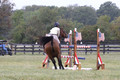 Lindsey Lanier on Fernhill Hustler, OI