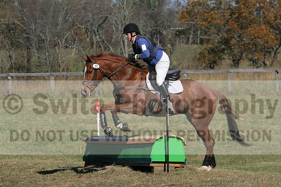 Suzy Gehris on Steddy Eddy, Beginner Novice Horse Trials Senior C