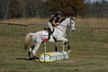 Tori Nuckols on Grey Dragon, Beginner Novice Horse Trials Senior A