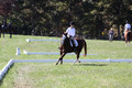 Pia Zuffoletti on Rio, Beginner Novice Horse Trials Junior A