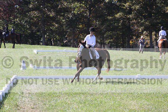 Pia Zuffoletti on Rio, Beginner Novice Horse Trials Junior A