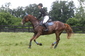 S10K3017