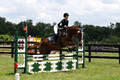 S10L3186