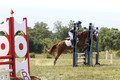 Aubrie Wyatt on Mint Julep, JBN