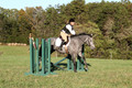 Elizabeth Brown on BallyGrace Encore, Green Horse Trials