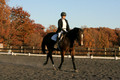 Thea Miller on Something Glamorous, Dressage Only: Training Level, Test 3