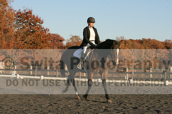 Thea Miller on Something Glamorous, Dressage Only: Training Level, Test 3