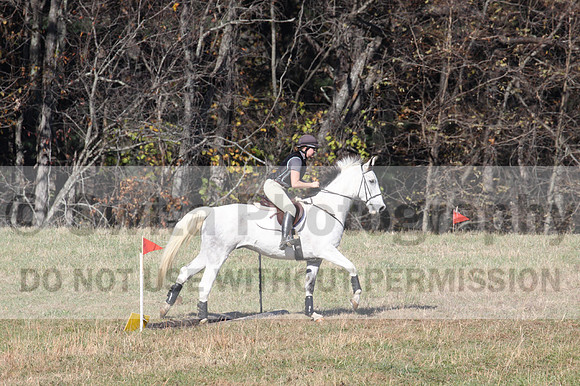Tori Nuckols on Grey Dragon, Beginner Novice Horse Trials Senior A
