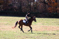 Abby Loving on Royal Filigree, Advanced Green Horse Trials Senior A