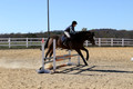 Wyatt Wilkerson on Troublemaker, Beginner Novice Horse Trials Junior A