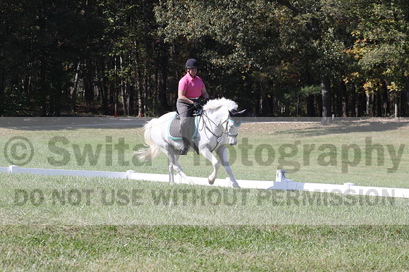 Katie Pinner on Ridgetop Robin Goodfellow, Beginner Novice Horse Trials Senior C