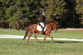 Jenny Rosner on Abbey Moon, Training Horse Trials