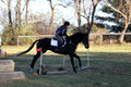 Trina Gomez on Anubis, Green Horse Trials Senior