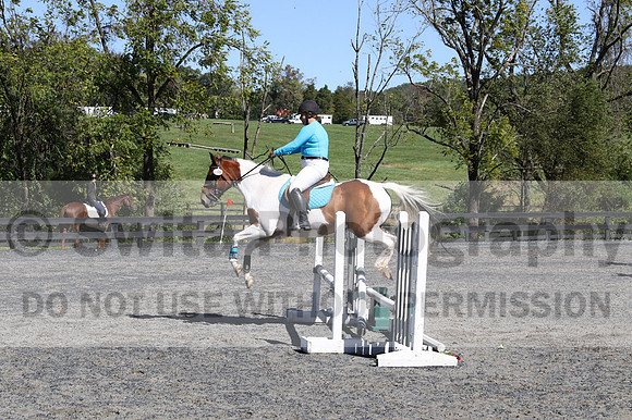 Natascha Schroll-McLaughlin on Play Girl, Beginner Novice Senior HT B