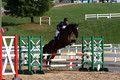 VA0L0146