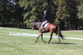 Brooke Bayley on Unbroken, Beginner Novice Horse Trials Senior A