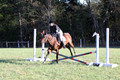 Kathleen Pimblett on Royal Grace, Green Horse Trials