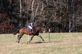Wyatt Wilkerson on Troublemaker, Beginner Novice Horse Trials Junior A