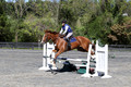 Amy Parsons on Wren Wrouge, Beginner Novice Senior HT B