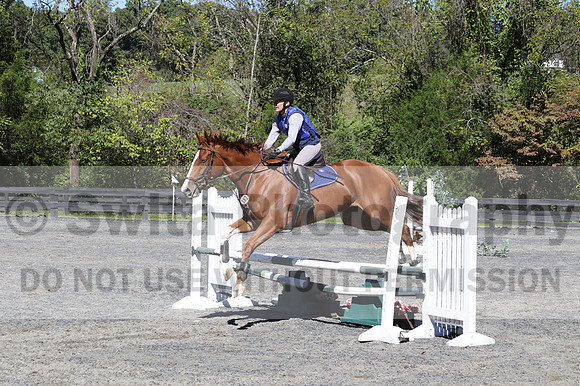 Amy Parsons on Wren Wrouge, Beginner Novice Senior HT B
