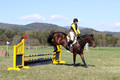 Emily Digney on American Airman, Beginner Novice Horse Trials Senior B