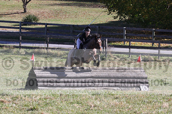 Alex Holliday on Partly Cloudy, Novice Horse Trials Junior