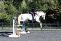 Liz Riley on Ice Storm, Novice HT