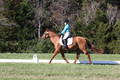 Clay Cooke on Clifford Dun It Again, Advanced Green Horse Trials B