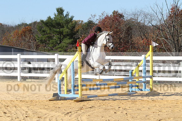 Shannon Bower on Bastille, Beginner Novice Combined Test