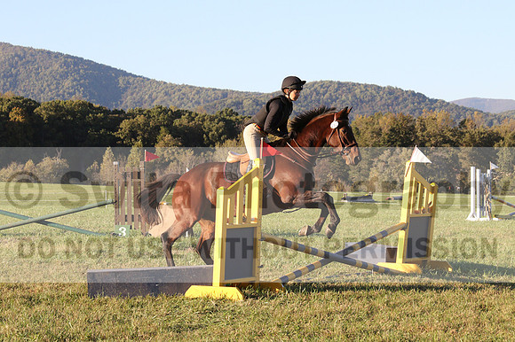 Kelly Linn on Hanover, Green Horse Trials