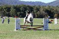 Carolyn Rutledge on Izzy, Advanced Green Horse Trials A