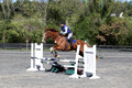 Amy Parsons on Wren Wrouge, Beginner Novice Senior HT B