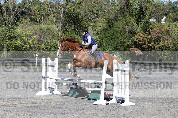 Amy Parsons on Wren Wrouge, Beginner Novice Senior HT B