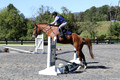 Amy Parsons on Wren Wrouge, Beginner Novice Senior HT B